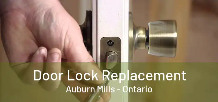 Door Lock Replacement Auburn Mills - Ontario