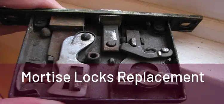 Mortise Locks Replacement 